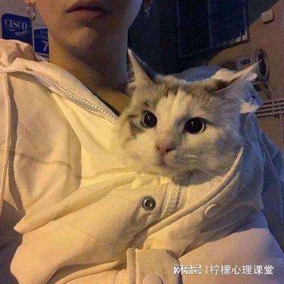 cf之突袭风暴手游官方下载