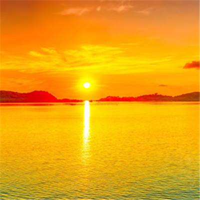 浪漫之花【图片】